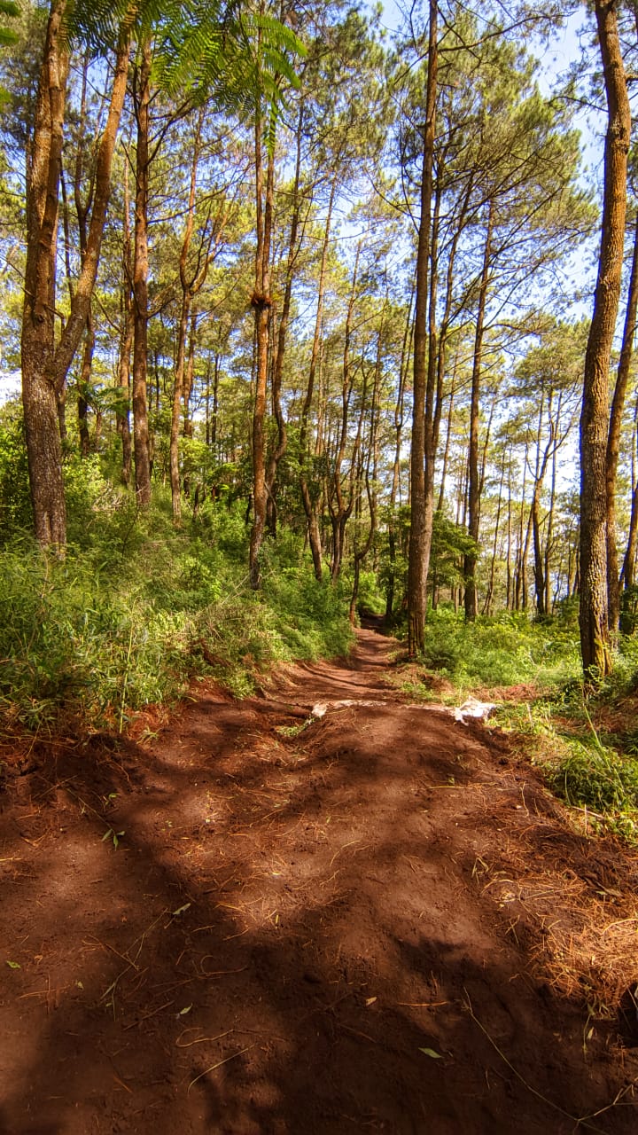 Gunung putri B5